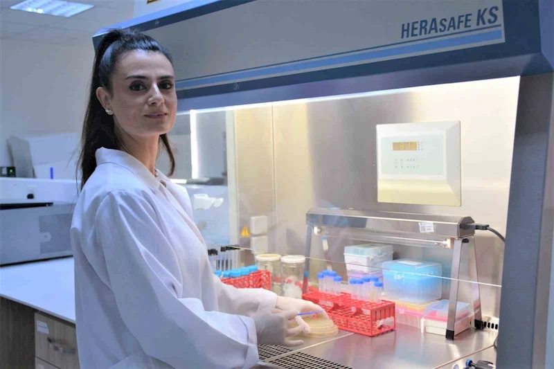 Türk ve Avustralyalı bilim insanlarının iş birliği bakterilerle mücadelede çığır açacak
