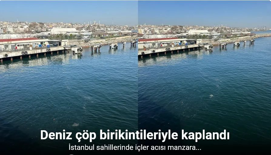 İstanbul sahillerinde çöp birikintisi