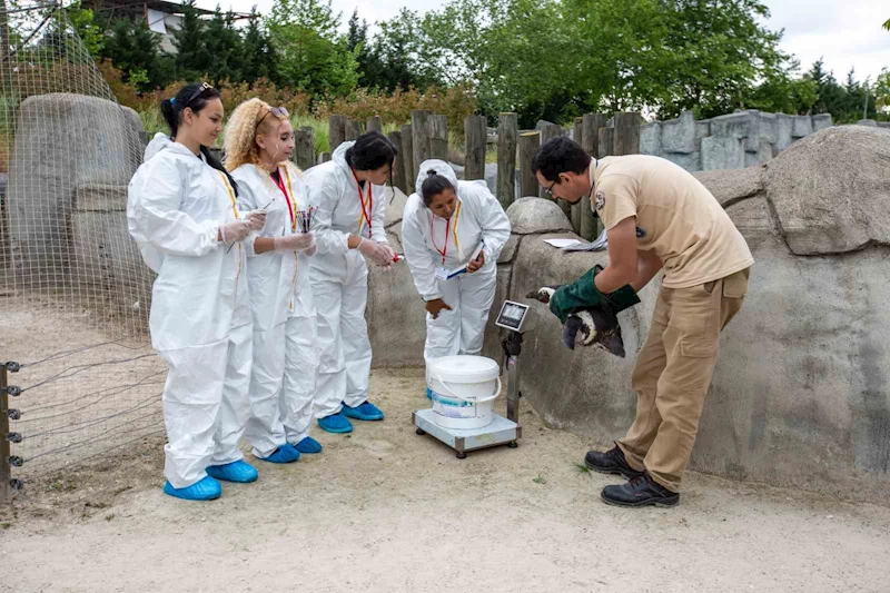 Erasmuslu öğrenciler Bursa Hayvanat Bahçesi’nde
