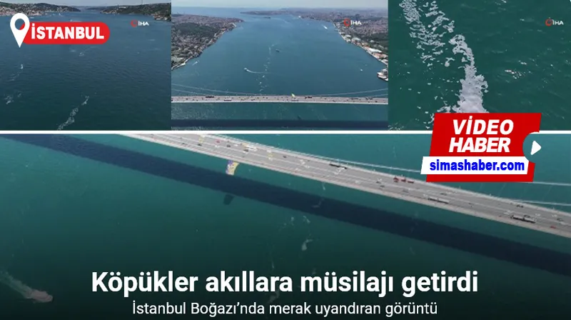 İstanbul Boğazı’nda merak uyandıran görüntü