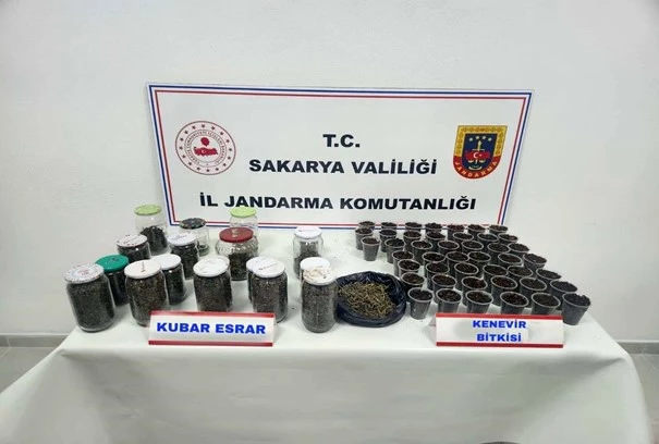 Sakarya’da uyuşturucu ve kaçakçılık operasyonları: 195 şüpheli yakalandı, 4’ü tutuklandı
