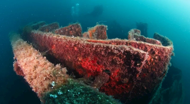 Çanakkale Savaşları’ndan kalma 109 yıllık batıkları su altı fotoğrafçısı Alex Dawson görüntüledi