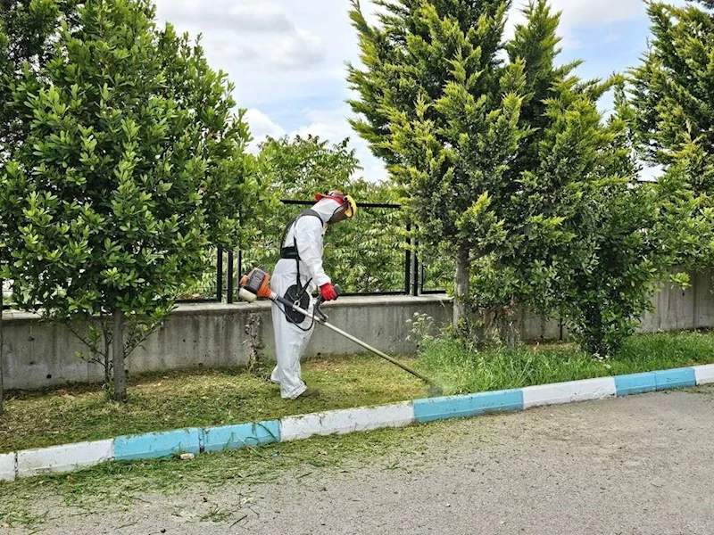 Dilovası’nda yaz temizliği başladı
