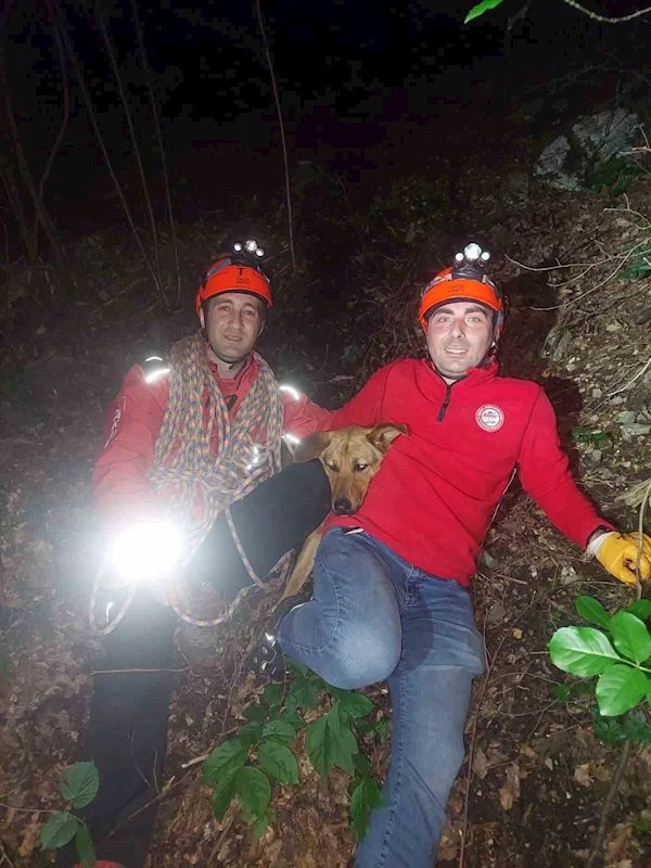 Uludağ’da kayanın üzerinde mahsur kalan köpeğe kurtarma operasyonu

