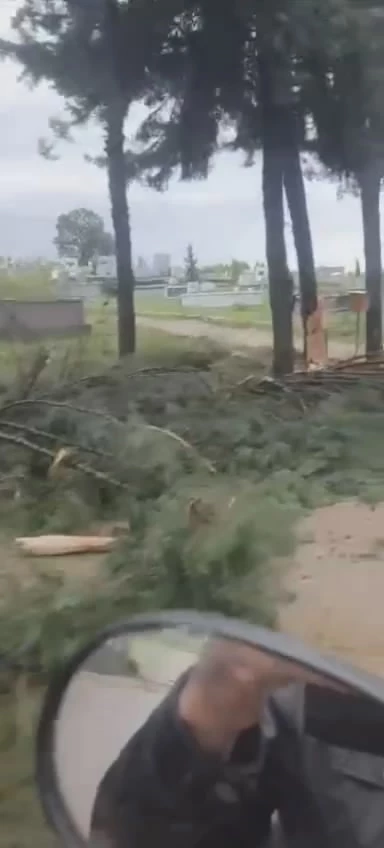 Ağaçlara yıldırım düştü, fırtına hayatı olumsuz etkiledi
