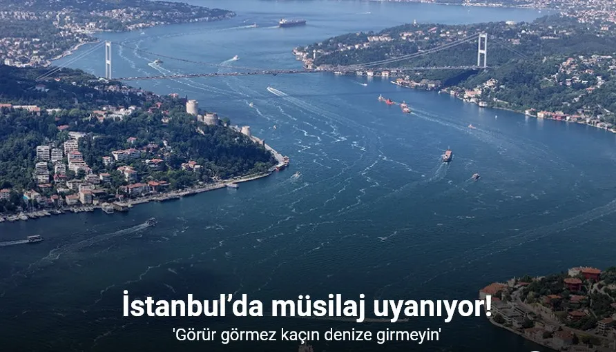 İstanbul’da müsilaj uyanıyor