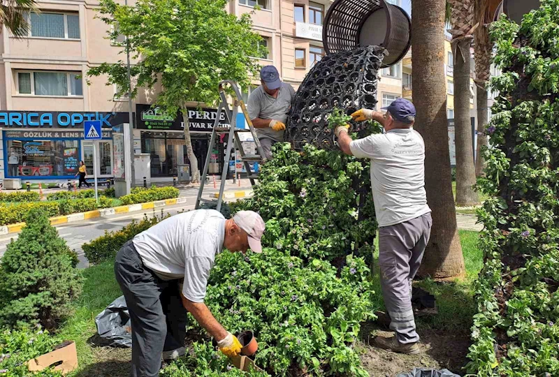 Darıca’da Kurban Bayramı öncesi hummalı çalışma sürüyor
