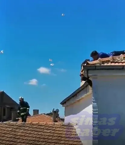 Çatıda ayağı ipe dolanan kargayı polis ekibi kurtardı