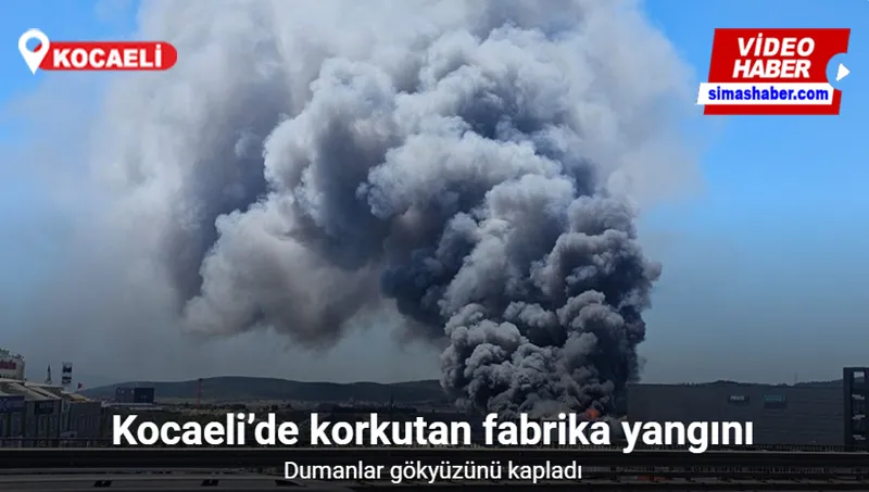 Gebze’de fabrika alev alev yanıyor