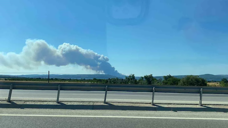 Çanakkale’de orman yangını, gemi trafiği askıya alındı
