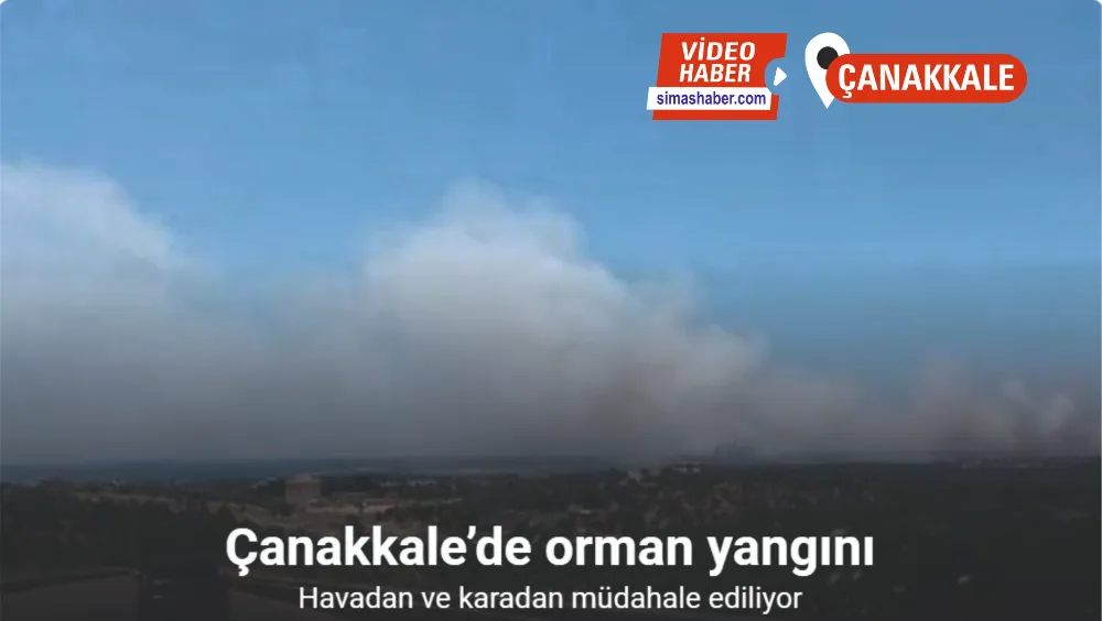 Çanakkale’de yangına havadan ve karadan müdahale ediliyor