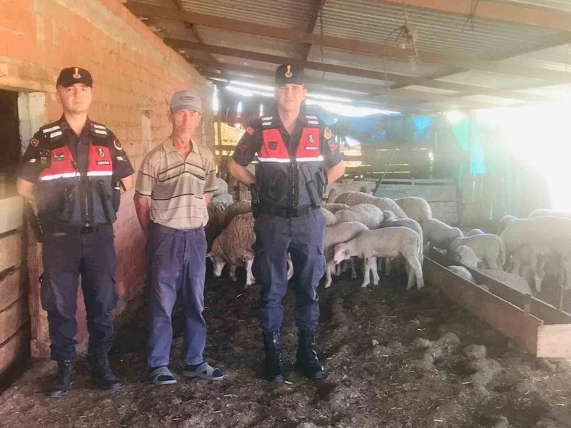 Jandarma kaybolan koyunları dron ile buldu
