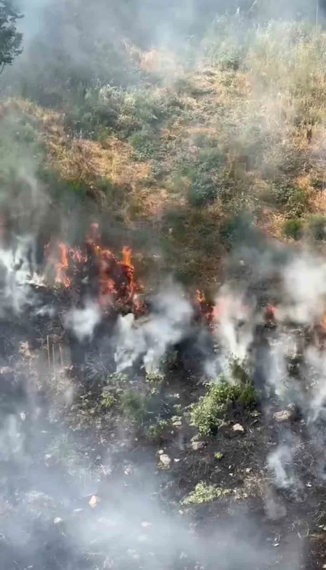 Kağıthane’de otluk alanda yangın: Dumanlar gökyüzünü kapladı, panik yaşandı
