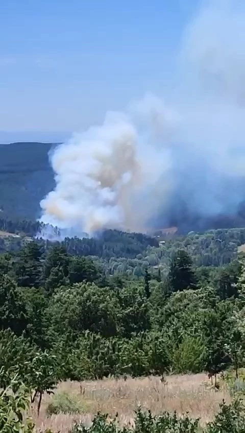 Bursa’nın dağ ilçesinde orman yangını
