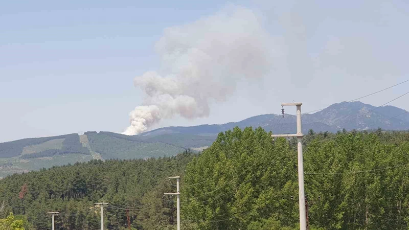 Bursa’da orman yangını...Uçaklar ve helikopterler sevk edildi
