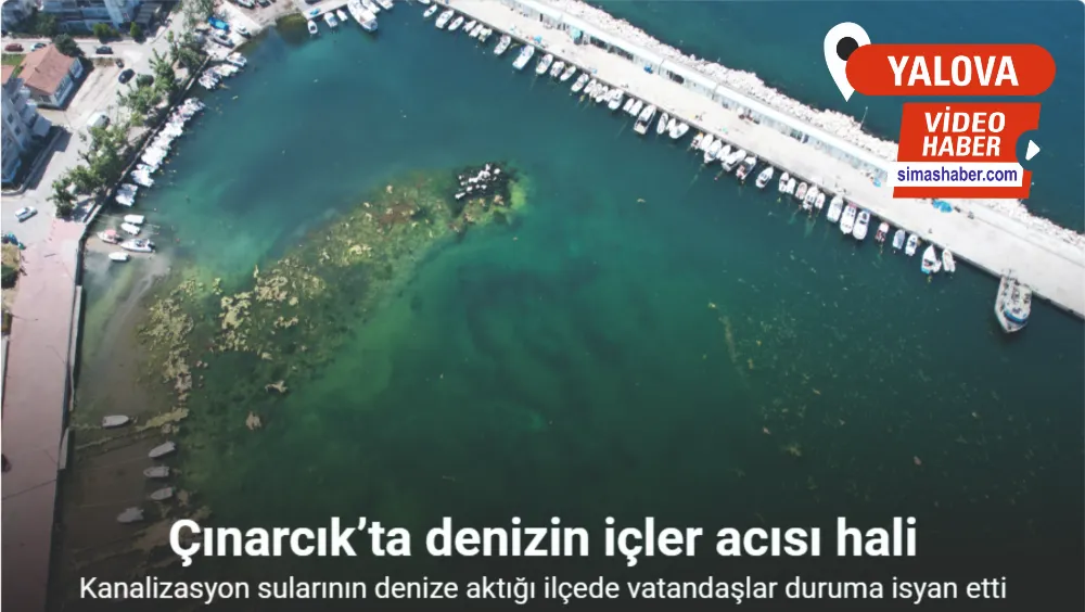 “Marmara’nın İncisi” Çınarcık’ta denizin içler acısı hali