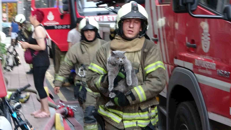Fatih’te yangında mahsur kalan kedi itfaiye ekiplerince kurtarıldı
