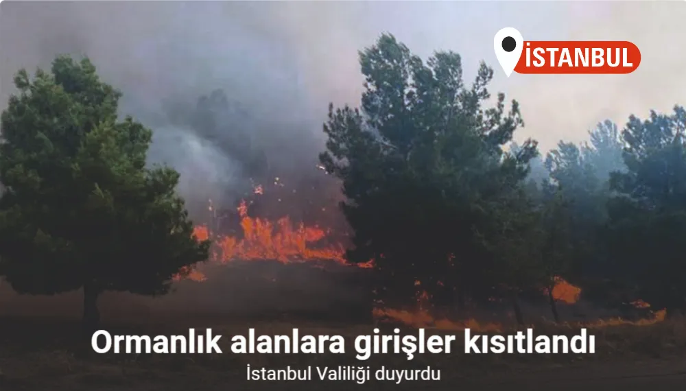 İstanbul Valiliği orman yangınlarına karşı alınan önlemleri duyurdu
