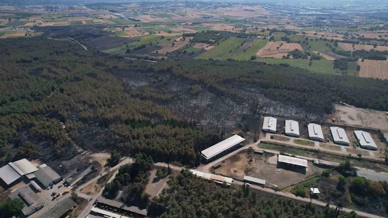 Uludağ Üniversitesi’ndeki yangının hasarı ortaya çıktı: 897 dekar orman ve biçilmiş alan küle döndü
