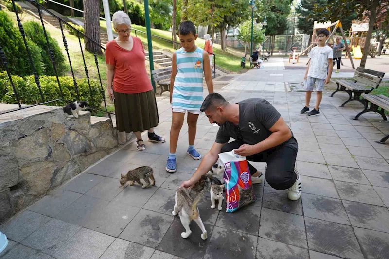Üsküdar Belediyesinden sokak hayvanlarına her ay 2 ton mama yardımı
