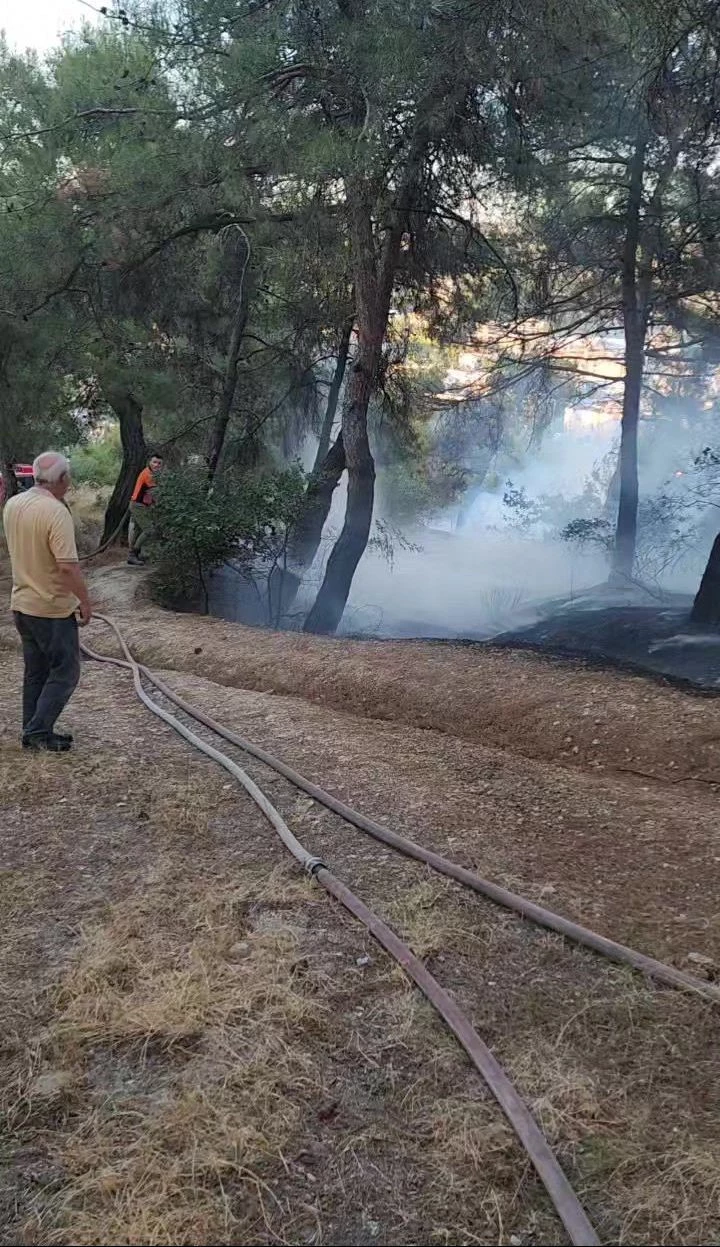 Piknik alanında çıkan yangın ormana sıçramadan söndürüldü
