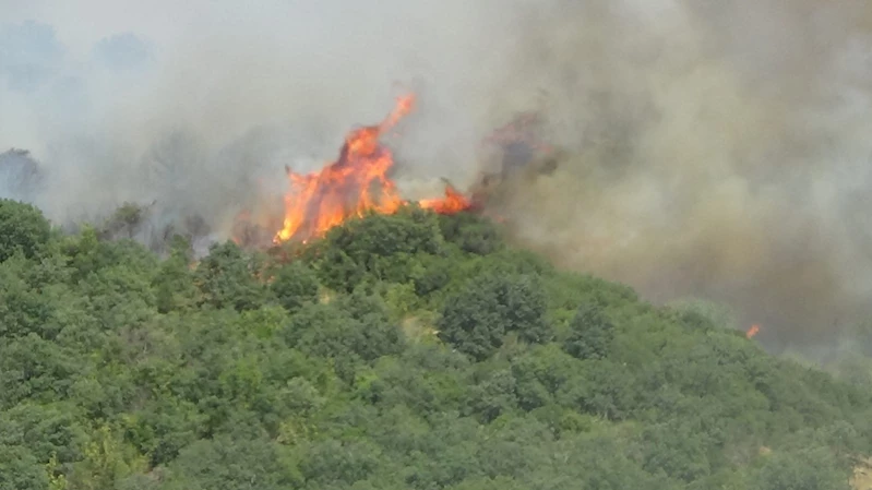 Bayramiç’teki orman yangını kısmen kontrol altına alındı
