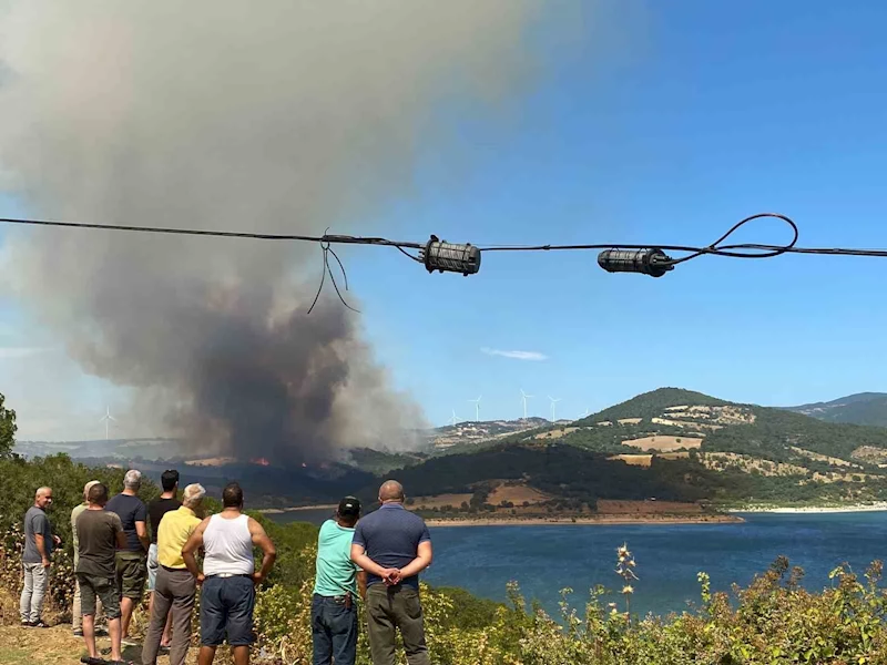 Bayramiç’te orman yangını
