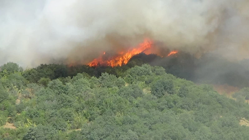 Çanakkale Valiliği’nden orman yangınlarına karşı uyarı
