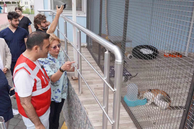 Beyoğlu Belediyesi ve Espressolab’tan sokak hayvanları için işbirliği
