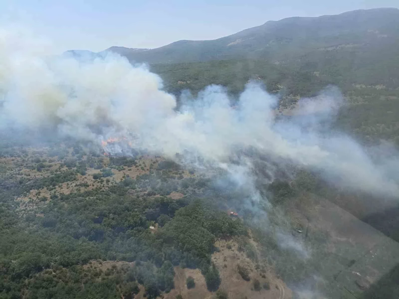 Bursa’da orman yangınına havadan ve karadan müdahale sürüyor
