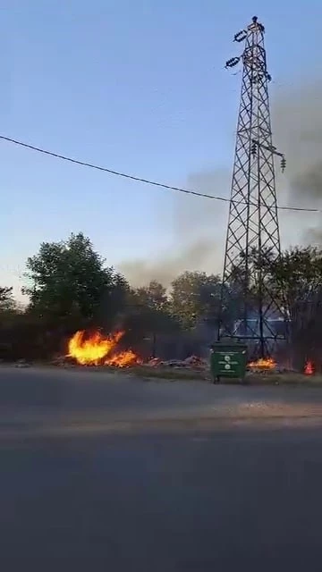 Kopan elektrik kablosu ağaçlık alanı alev alev yaktı
