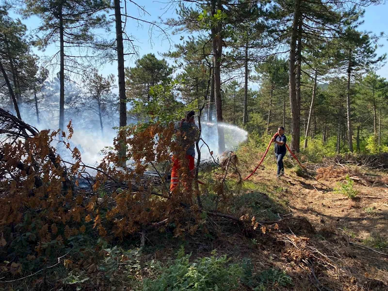 Bilecik’te dün başlayan orman yangınında 4 dekar alan kül oldu
