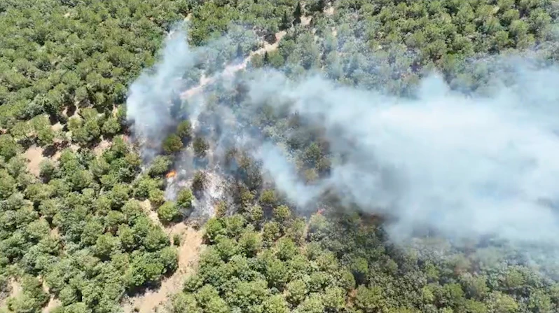 Bayramiç’teki orman yangını 24 saat sonra kontrol altına alındı
