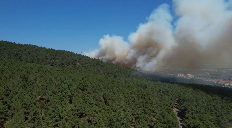 Pendik Aydos Ormanı’ndaki yangın havadan görüntülendi
