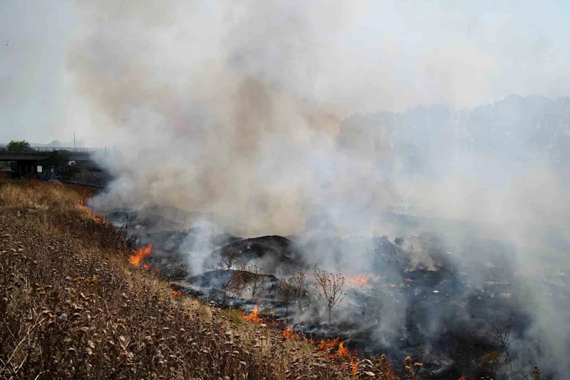 Edirne’de anız yangını mahalleliye büyük korku yaşattı
