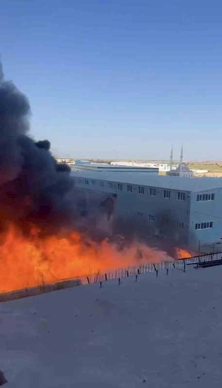 Tekirdağ’da kimya fabrikasında yangın
