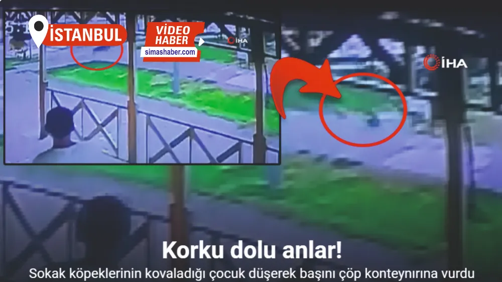 Arnavutköy’de başıboş sokak köpeklerinin kovaladığı çocuk düşerek başını çöp konteynırına vurdu