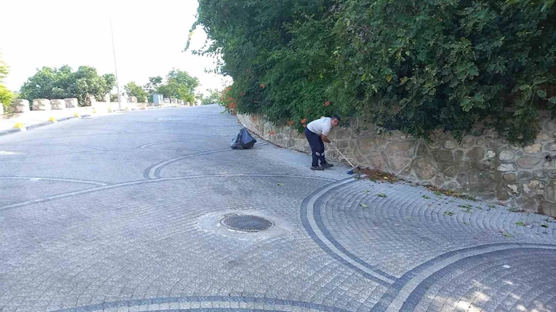 Şeyh Edebali Türbesi’nde kapsamlı temizlik
