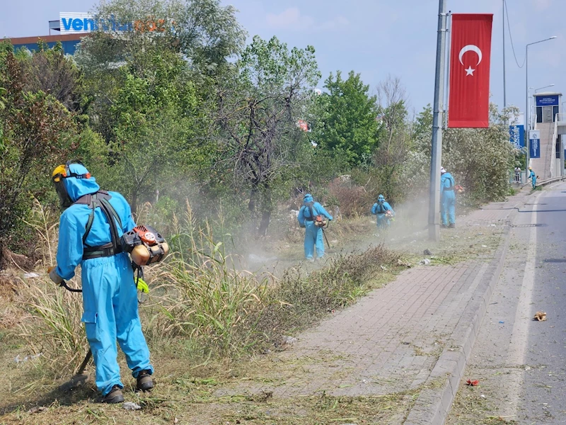 Park ve bahçelerde sonbahar temizliği
