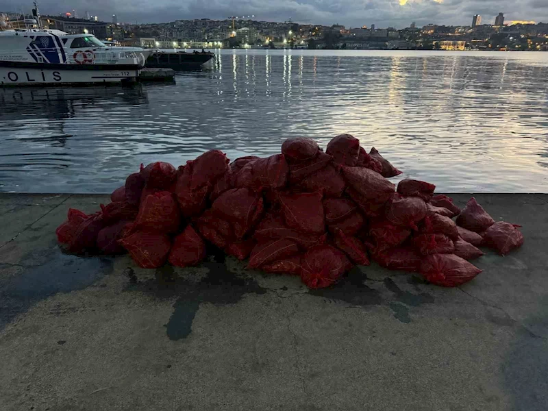 Kadıköy’de tonlarca kaçak midye ele geçirildi
