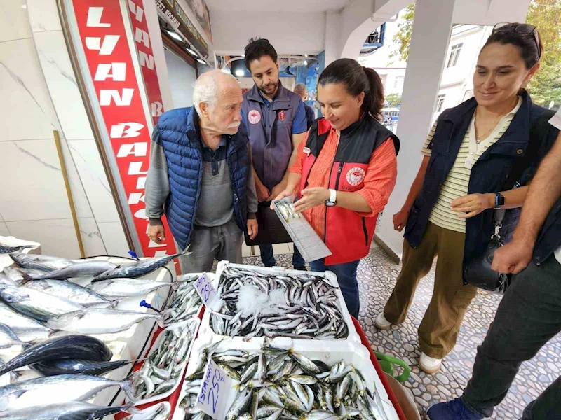 Çanakkale’de Balık Denetimi: Yasal Avlanma Boyları ve Hijyen Kontrolleri Yapıldı
