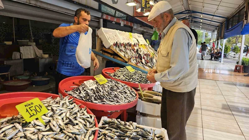 Av yasağı bitti tezgahlar palamutla doldu
