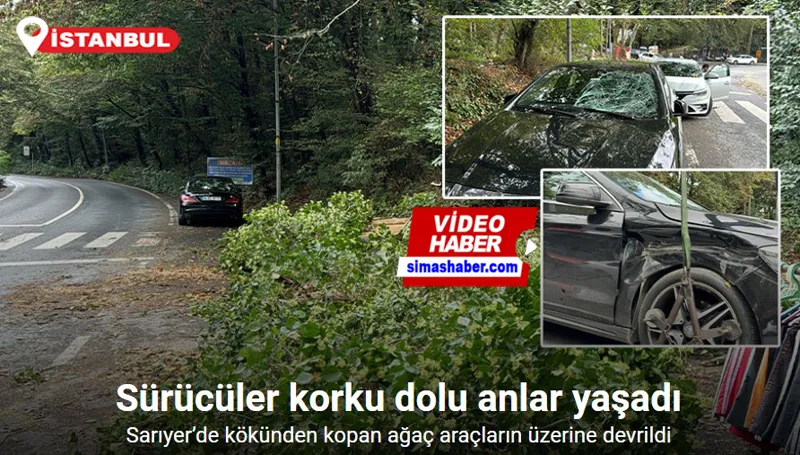 Sarıyer’de kökünden kopan ağaç araçların üzerine devrildi, sürücüler korku dolu anlar yaşadı