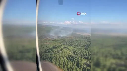 Bursa’da çıkan orman yangını kontrol altına alındı