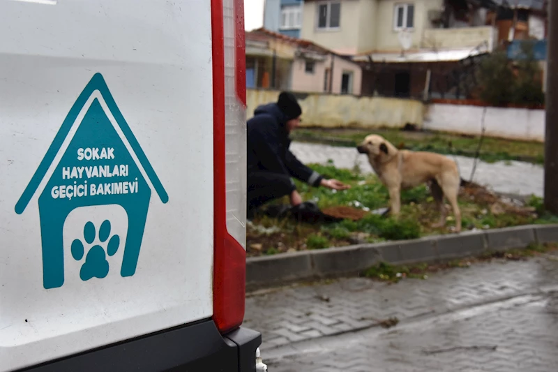 Süleymanpaşa Belediyesi Olumsuz Hava Koşullarında da Can Dostlarının Yanında