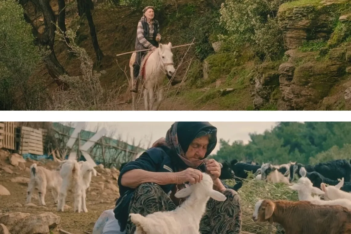 Boğaziçi Film Festivali