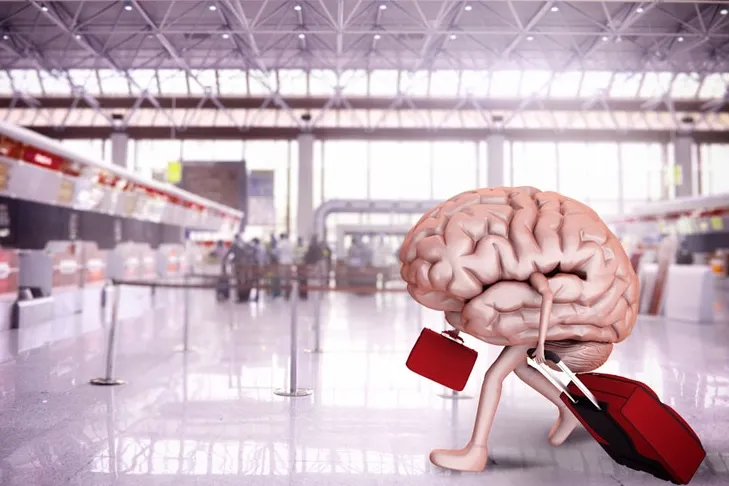 Beyin göçü durmadı! Her 50 üniversite mezunundan biri yurt dışında!