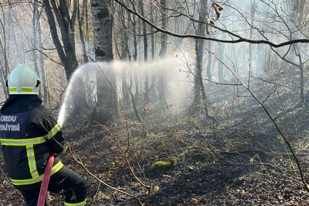 Ordu’da bir haftada 40 yangın alarmı
