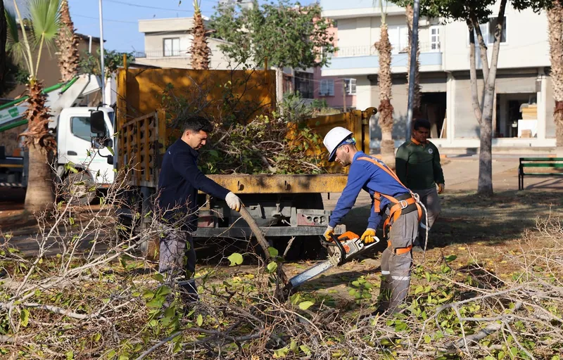 Toroslar Belediyesi Ağaçlara Kış Bakımı Yapıyor