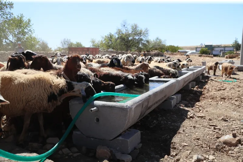 Mardin Büyükşehir Belediyesi 5 İlçeye 330 Sıvat Dağıttı